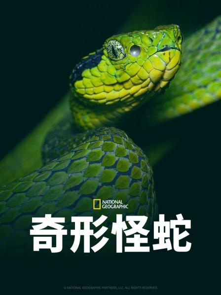 桃汁影院《奇形怪蛇》免费在线观看